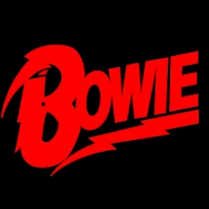 Produtos e camisetas david Bowie